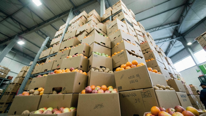 Potraviny tvoria 26,3 % výdavkov domácností, Lidl tvrdí, že zlacňuje stovky produktov