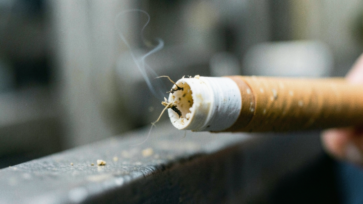 Finančná správa odhalila v Nitrianskom kraji ďalšiu nelegálnu továreň na cigarety