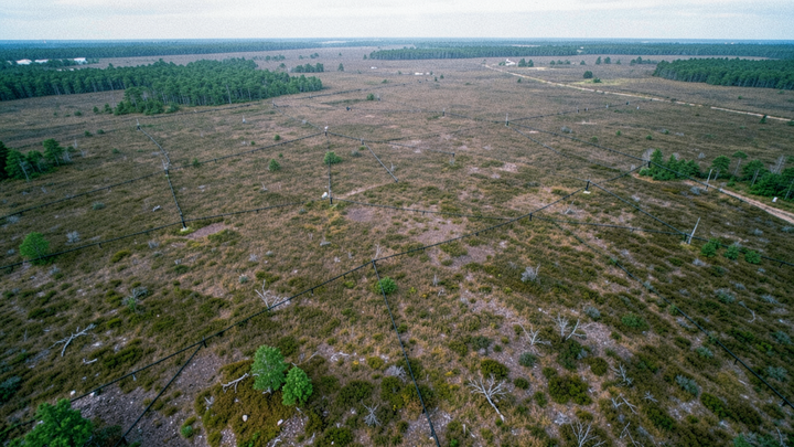 QIMC hlási signatúru mokrého plynu v 86 % vzoriek, materská hornina nepotvrdená